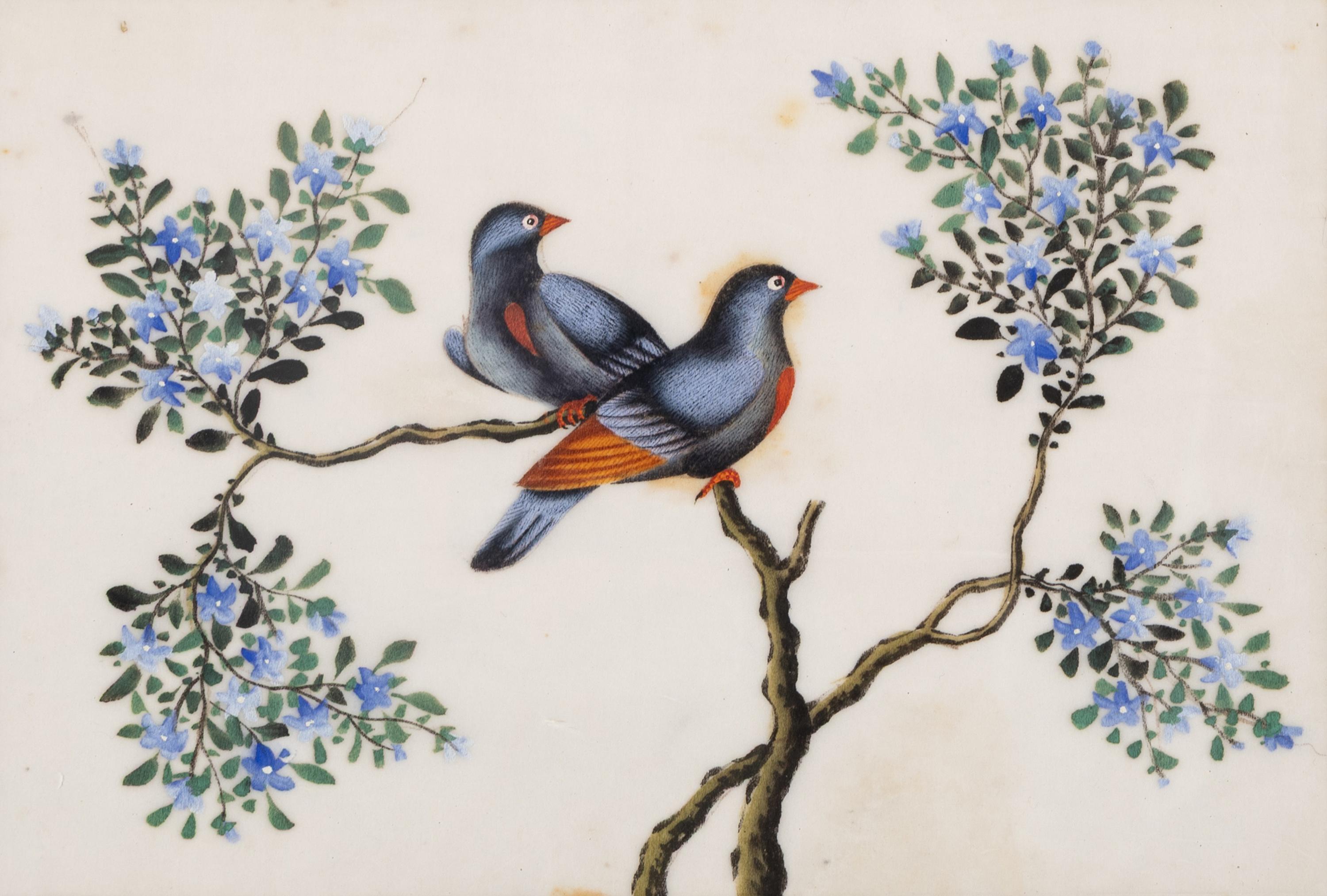 A Set of Twelve Chinese Export Watercolor and Pith Paintings