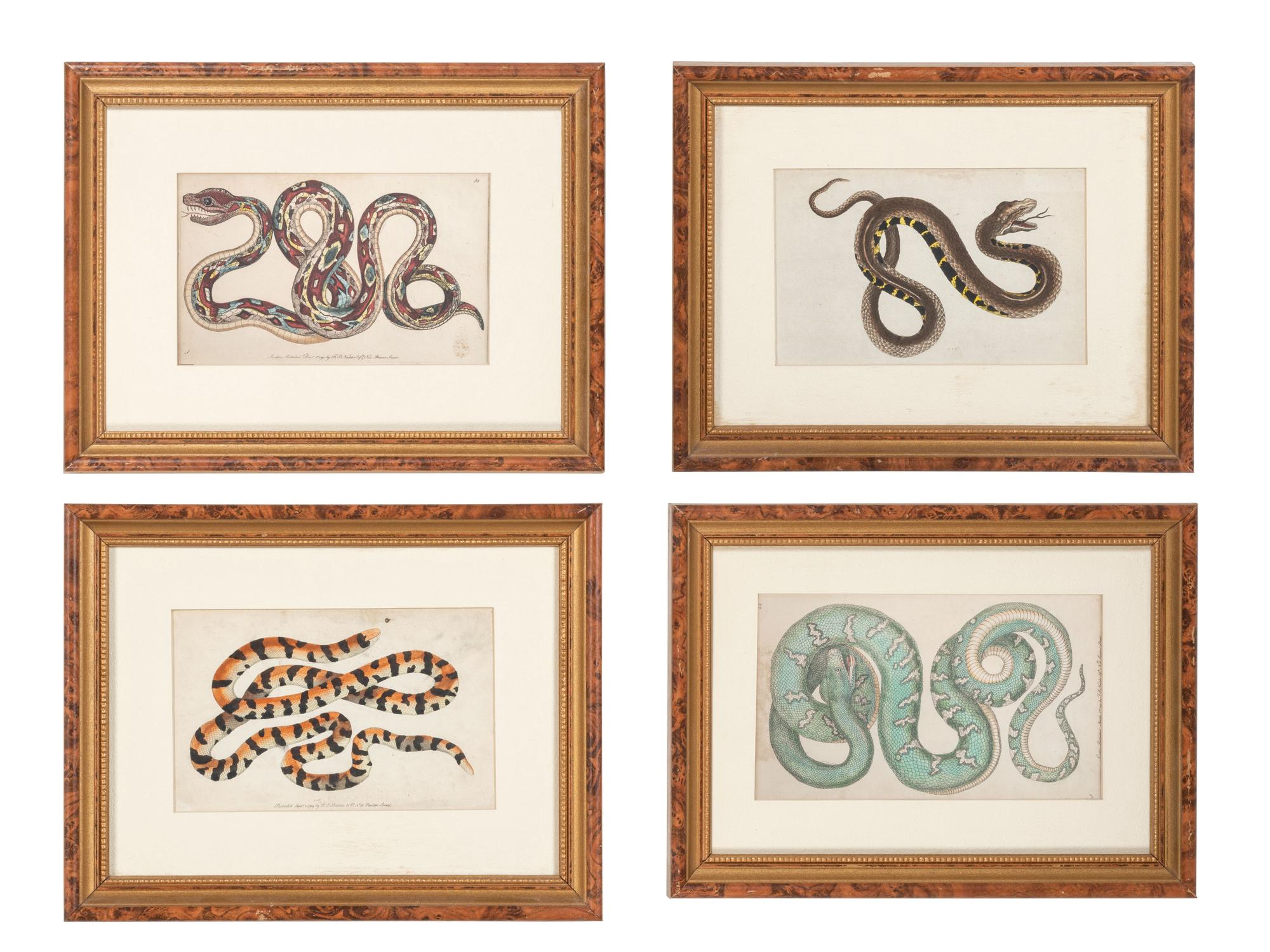 Seven Intaglio Prints of Reptiles