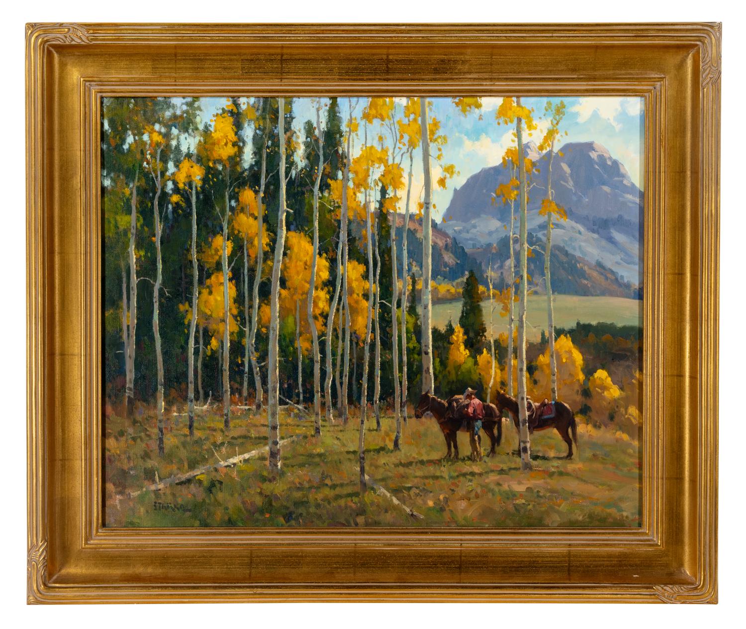 Northern Colorado Aspens