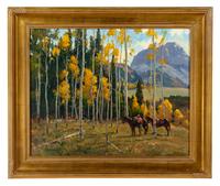 Northern Colorado Aspens