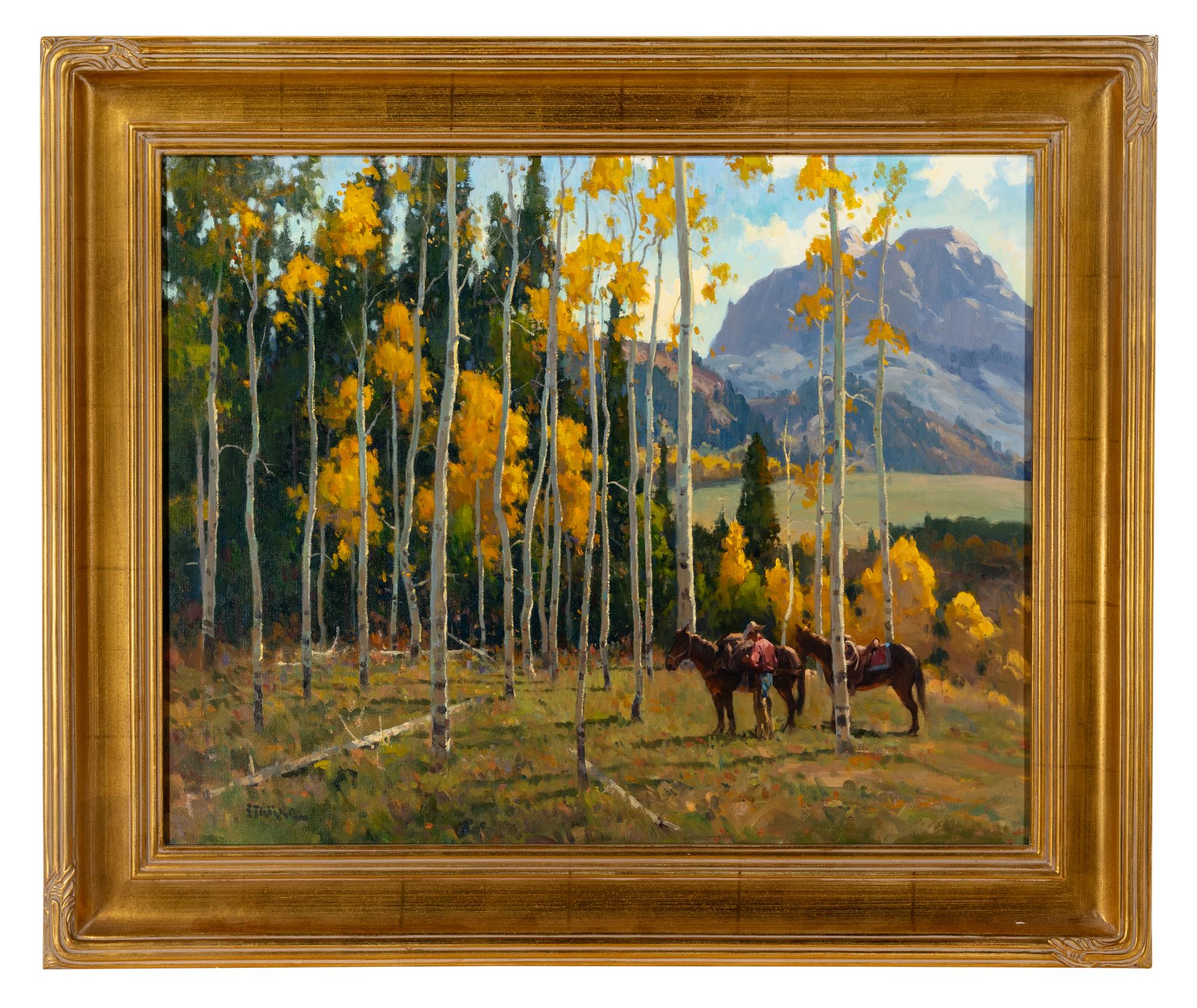 Northern Colorado Aspens