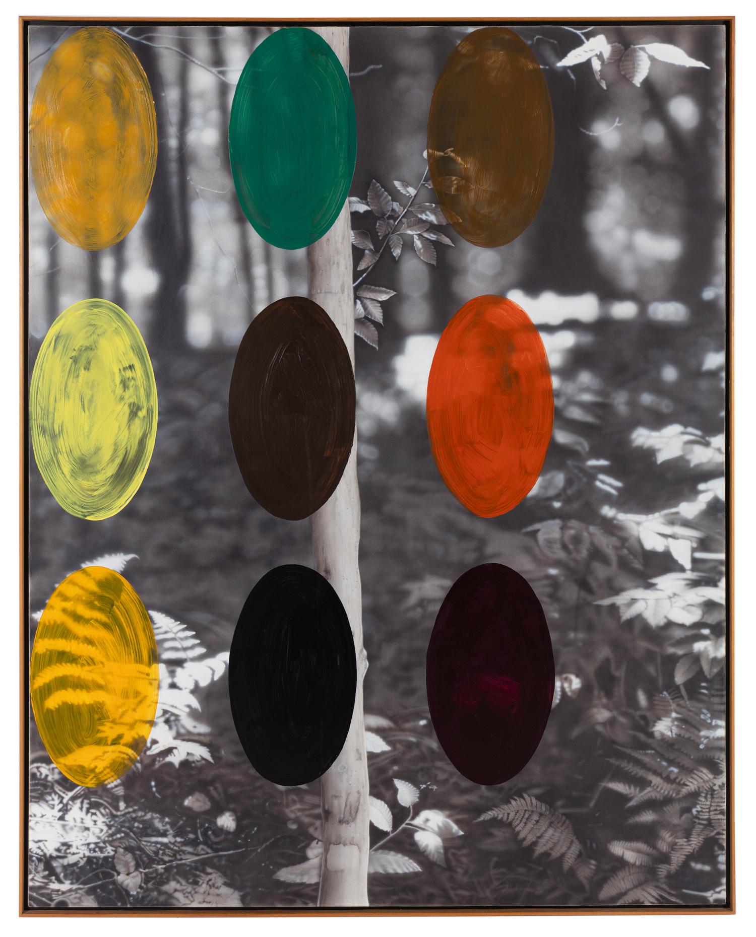 Acquired Habitat, 1990