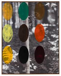Acquired Habitat, 1990