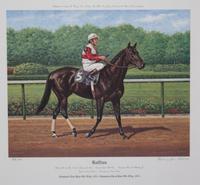 Nineteen Equestrian Prints