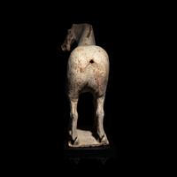 A Chinese Painted Pottery Horse, Tang Dynasty — 唐 白陶馬
