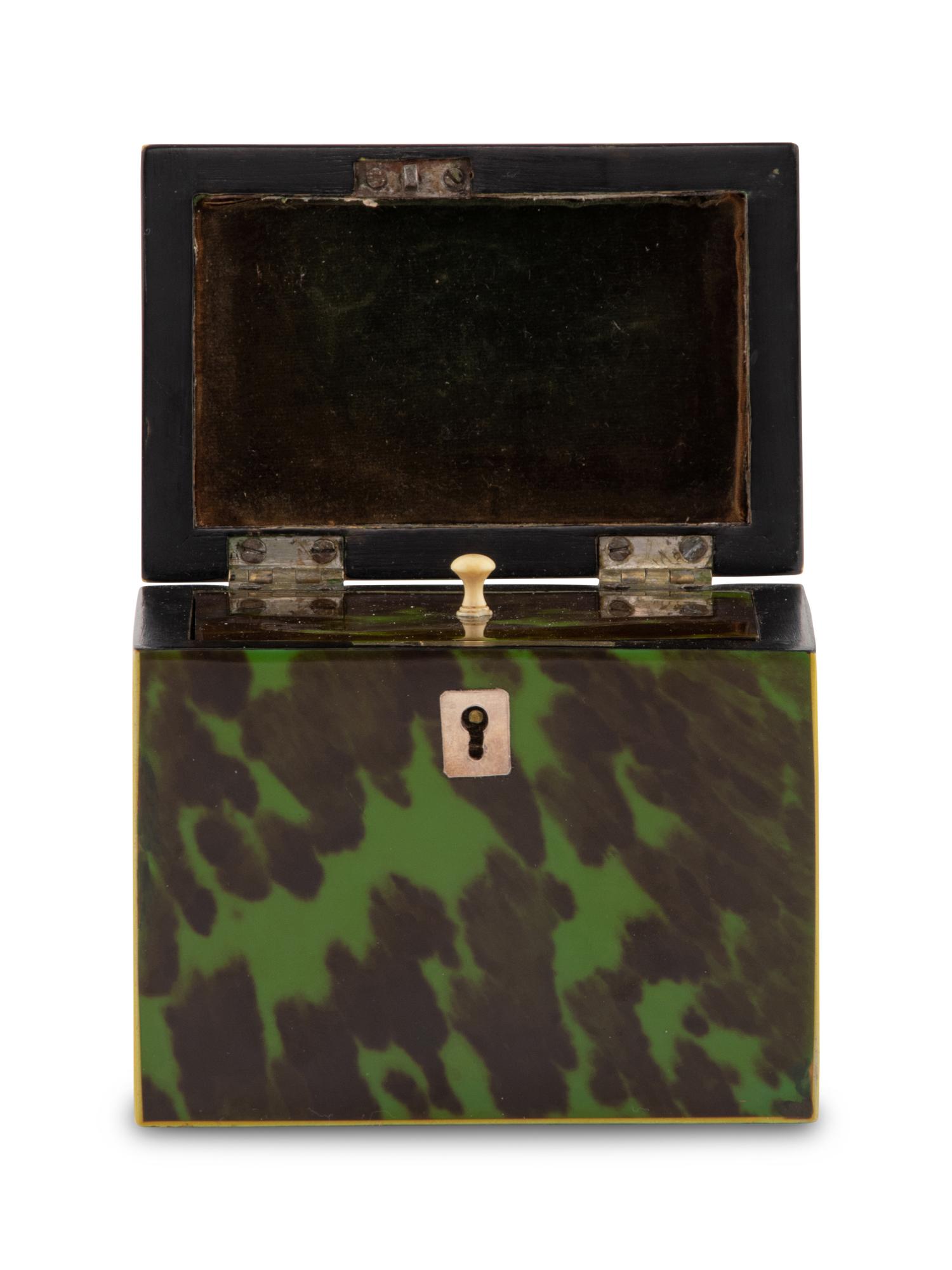 An English Green-Dyed Tortoiseshell Tea Caddy