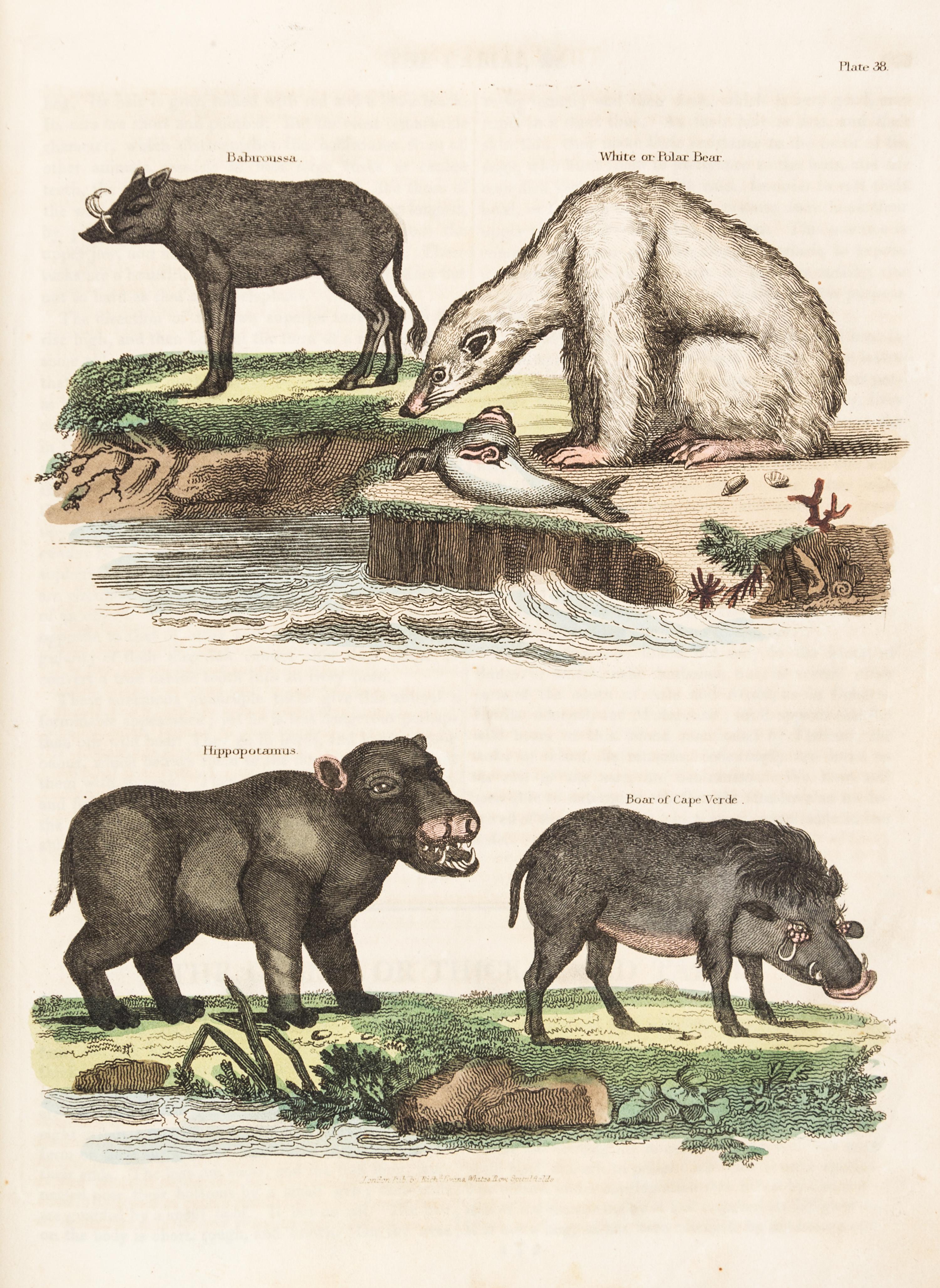 BUFFON, GEORGE LOUIS LECLERC, COMTE DE. A Natural History... London, 1781. 2 (of 8) vols. only.