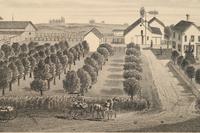 Printed City Views and Farm Scenes of Bloomingdale and Dupage County, Ill. N.p.: N.d. 23 x 21 In. Matted and framed.