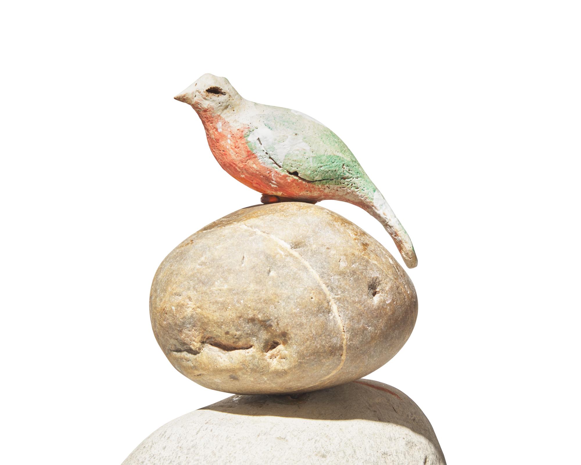 Bird Song