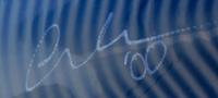 Larkspur Blue Seaform Set, 2000