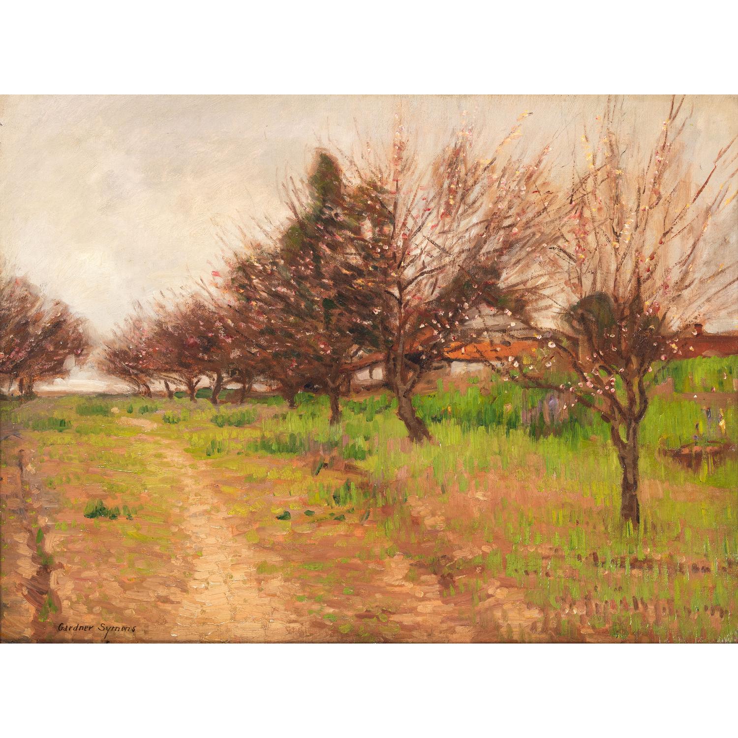 Trees in Bud