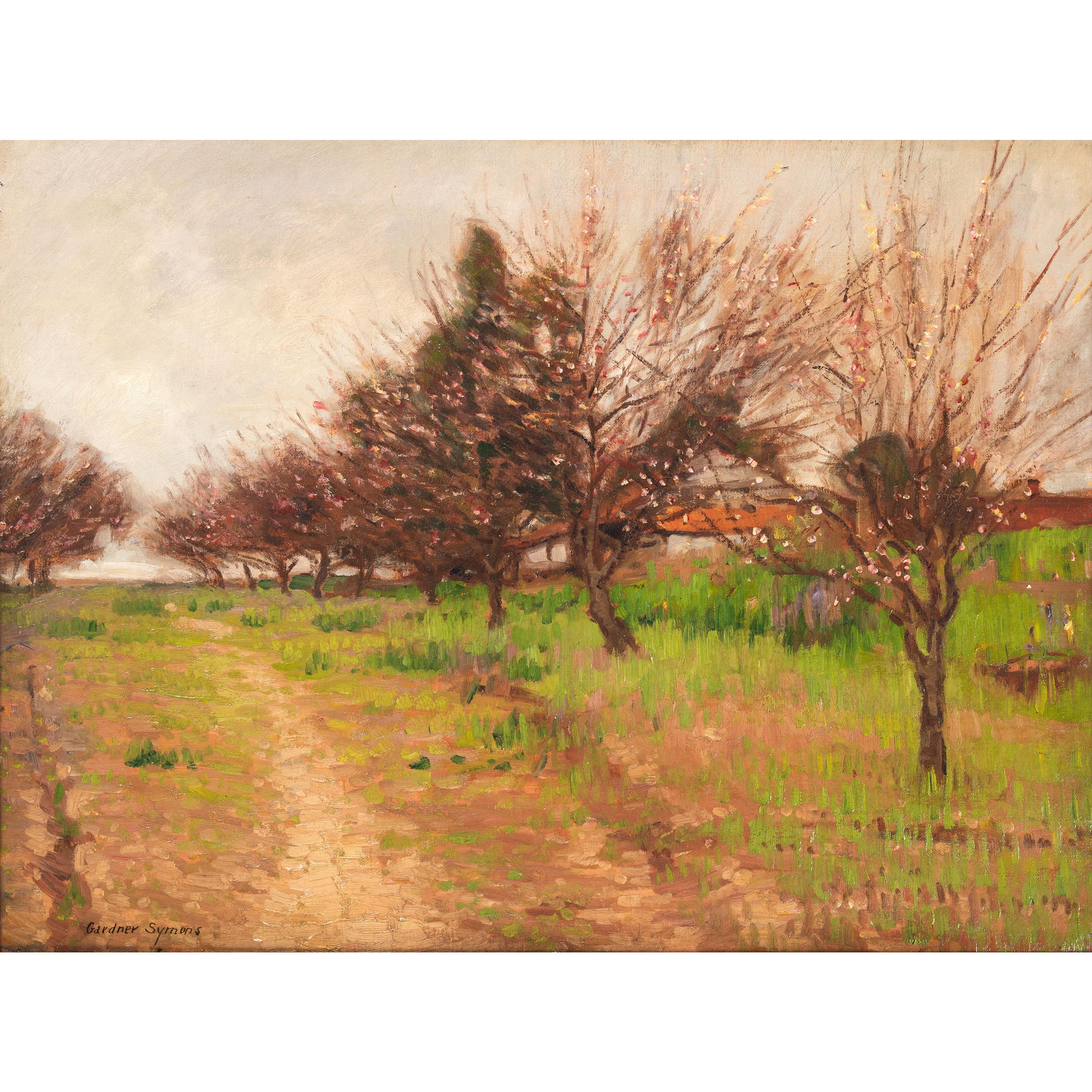 Trees in Bud