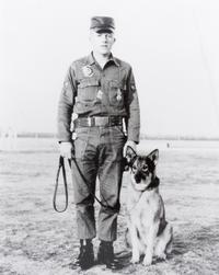 Fourteen Photographs of Military and Police Dogs, Various Breeds Largest: 16 x 12 inches.