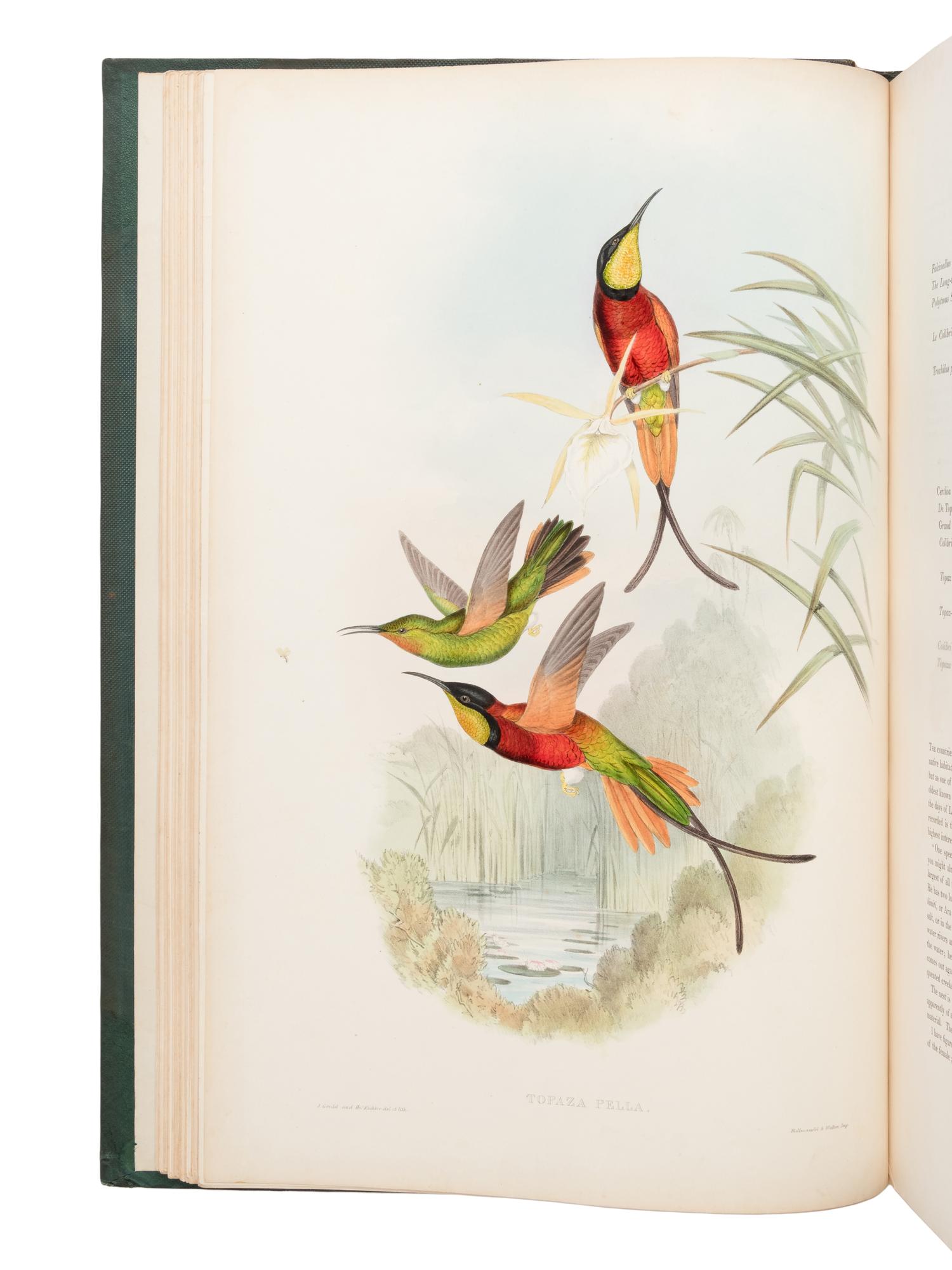 [NATURAL HISTORY]. GOULD, John (1804-1881). A Monograph of the Trochilidae, or Family of Humming-Birds . London: Taylor and Francis for the Author, [1849-] 1861.