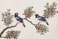 A Set of Twelve Chinese Export Watercolor and Pith Paintings
