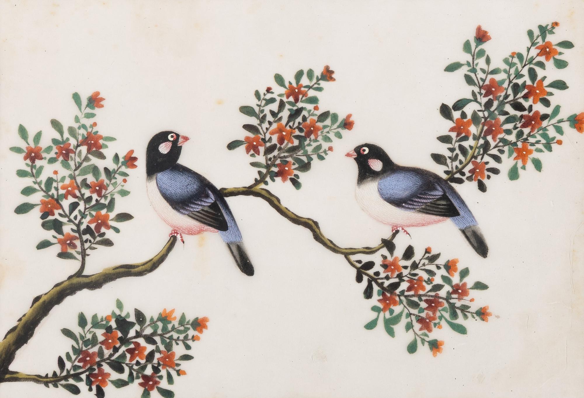 A Set of Twelve Chinese Export Watercolor and Pith Paintings