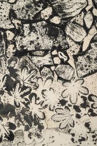 Pied du Mur au sol jonché , July 1955