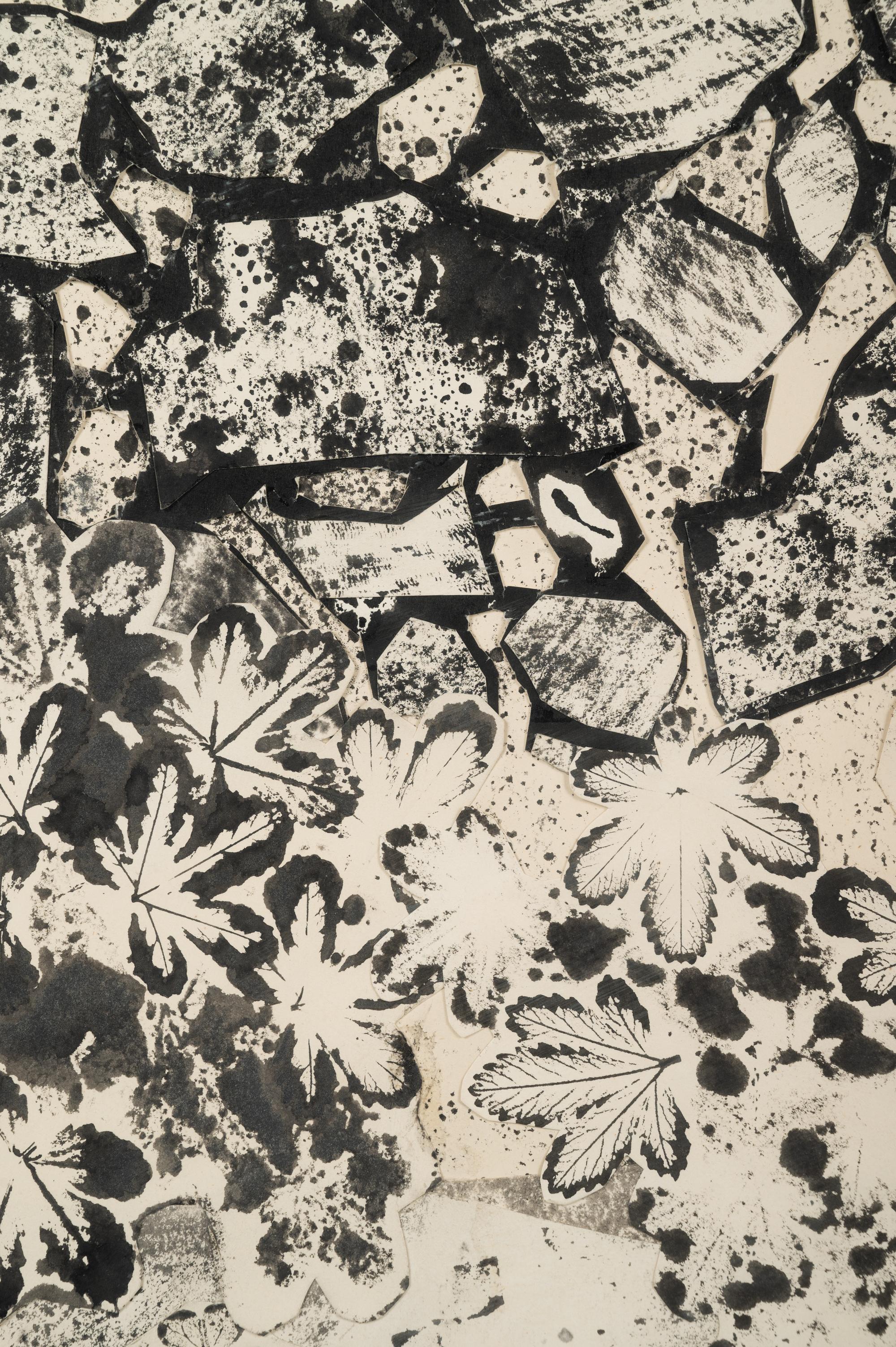 Pied du Mur au sol jonché , July 1955