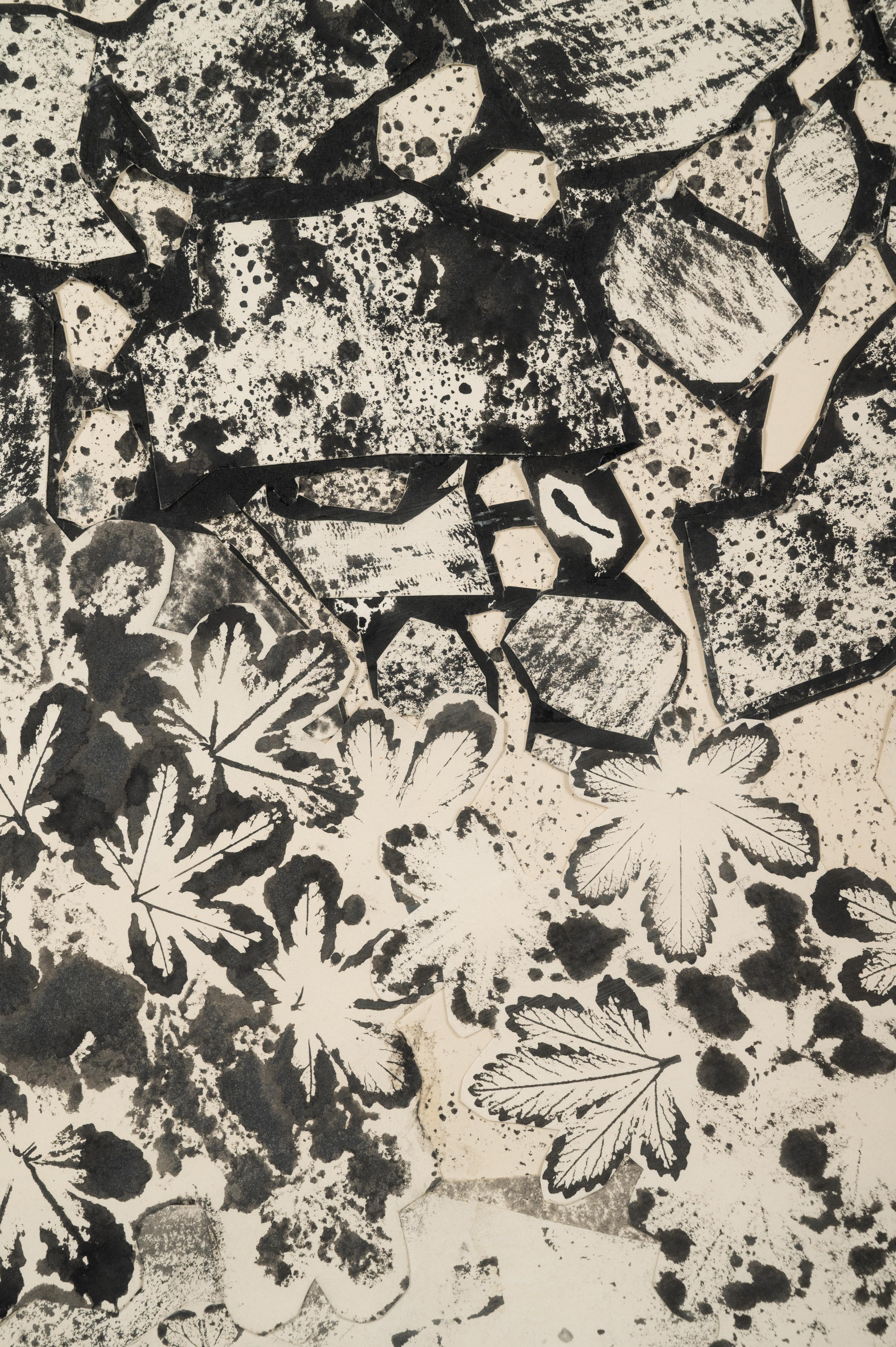 Pied du Mur au sol jonché , July 1955