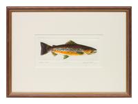 Two Copies, Dominique at Daybreak, editions 64/100 and 43/100; together with Brown Trout , edition 39/500, signed illegibly and Red Hen , edition 22/50, signed illegibly