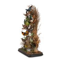 A Victorian Bird Taxidermy Diorama