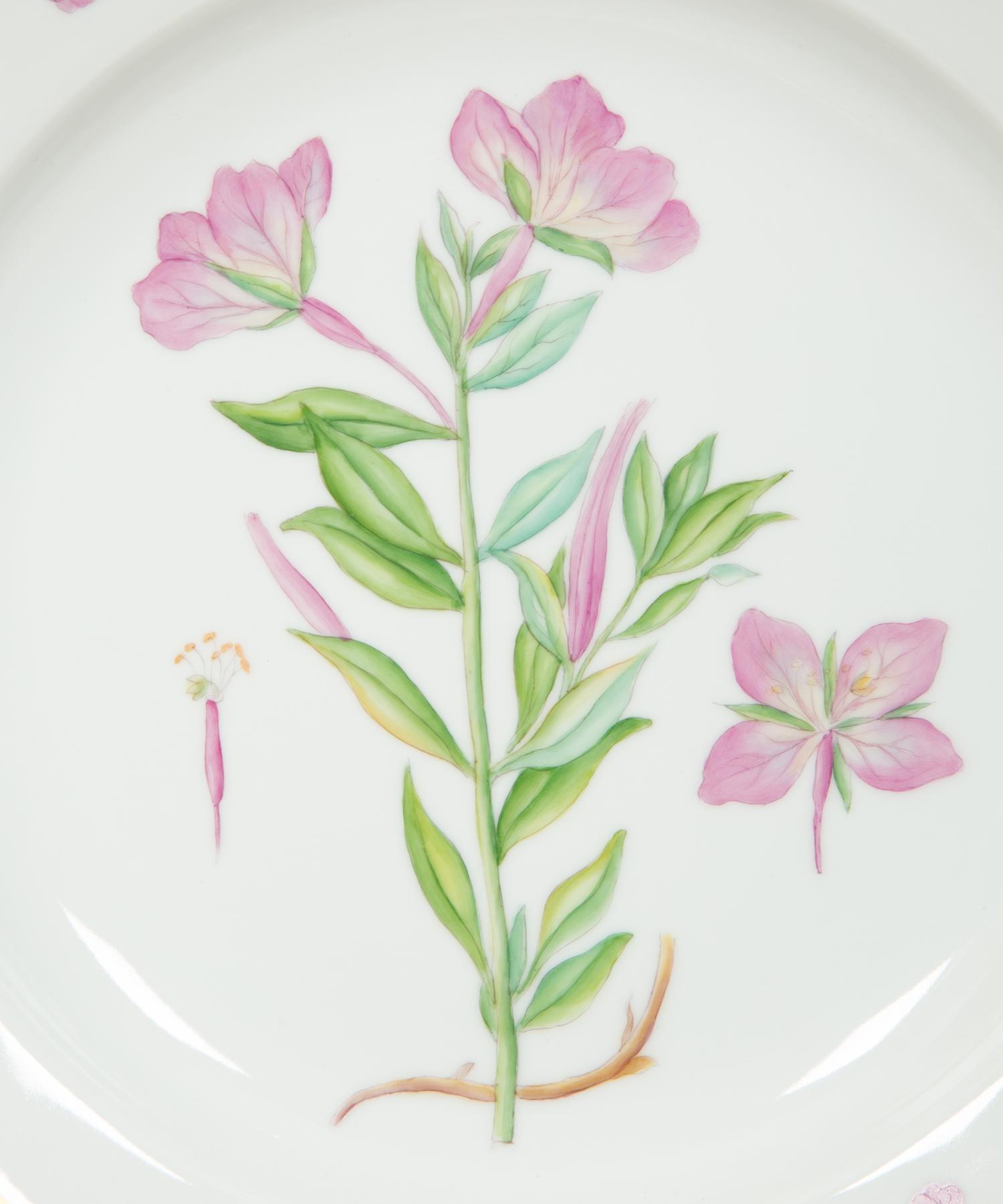 Thirteen Royal Copenhagen Flora Danica Porcelain Dinner Plates