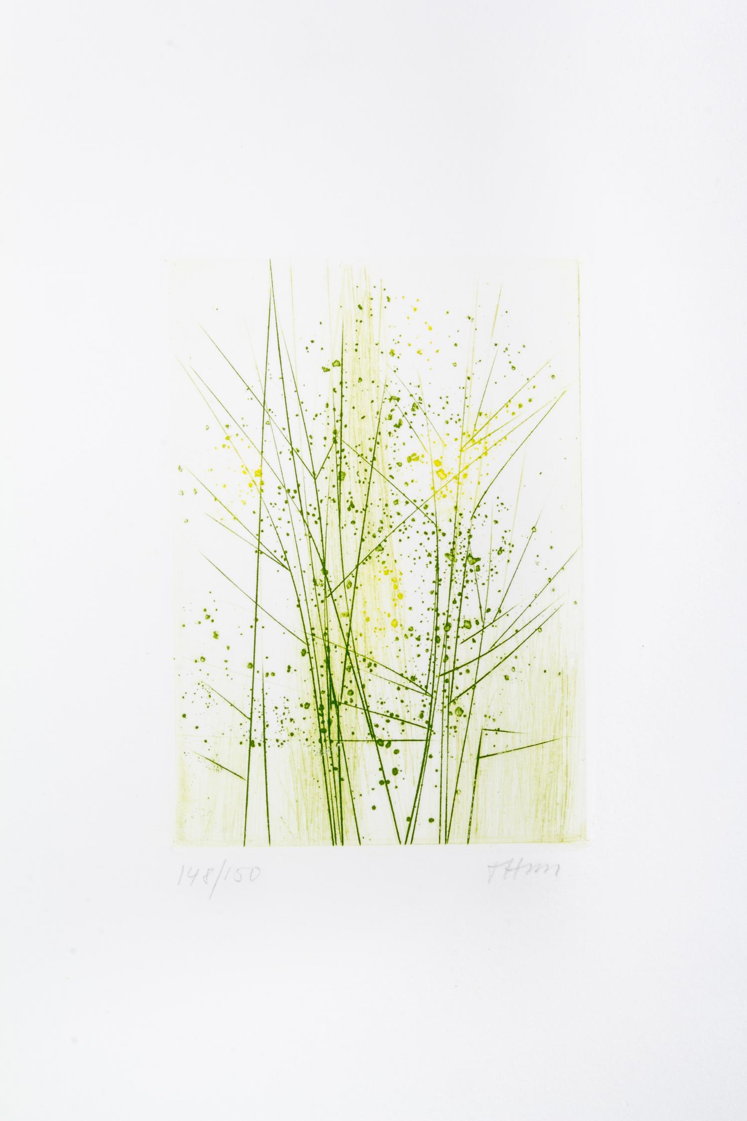 (HAASS, TERRY) WHITMAN, WALT. Leaves of Grass. New York, 1966. Limited, signed.