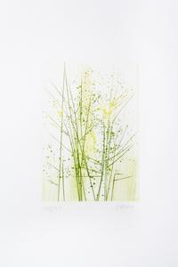 (HAASS, TERRY) WHITMAN, WALT. Leaves of Grass. New York, 1966. Limited, signed.