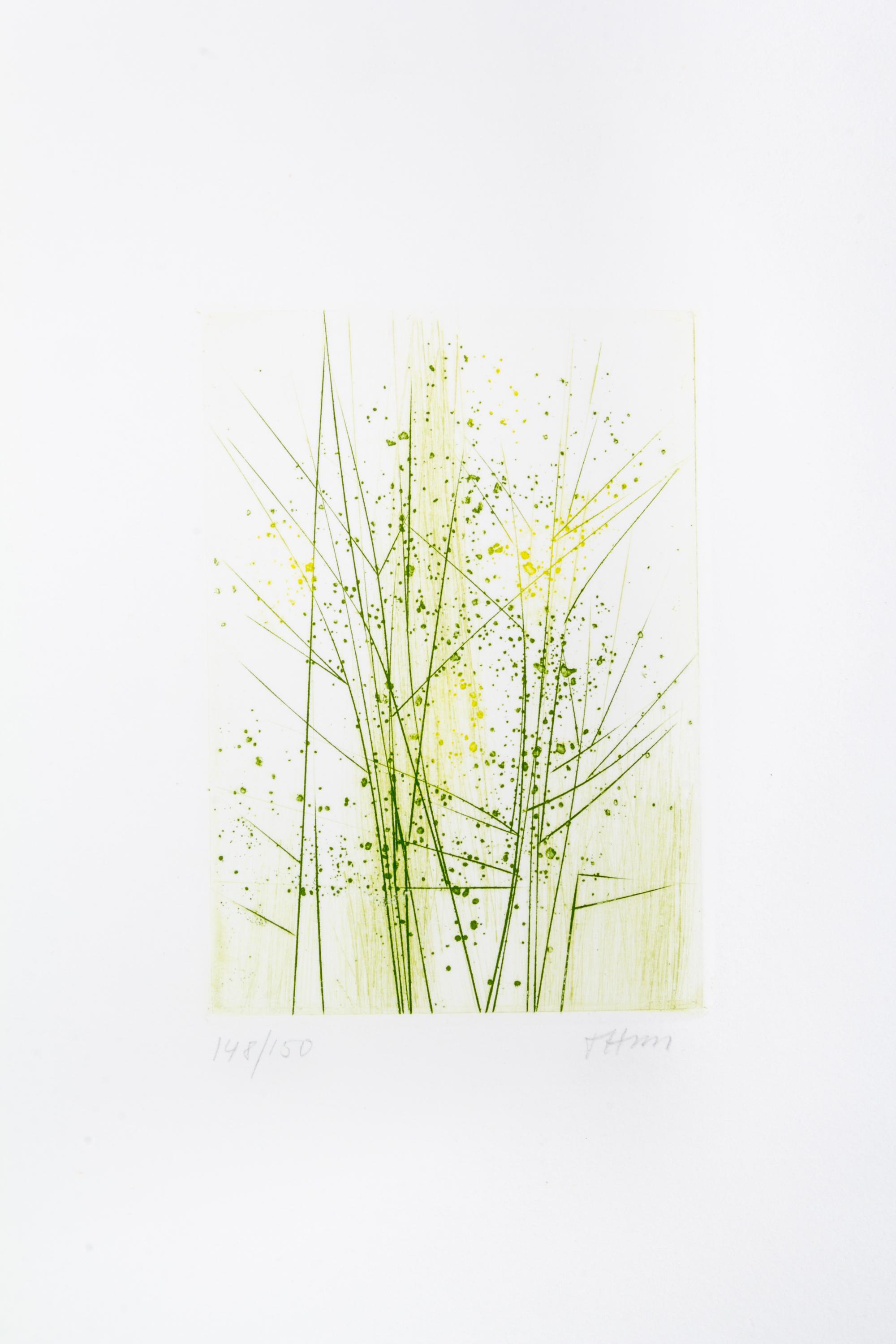 (HAASS, TERRY) WHITMAN, WALT. Leaves of Grass. New York, 1966. Limited, signed.