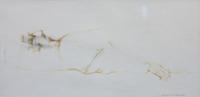 Infinite Repose, 1964