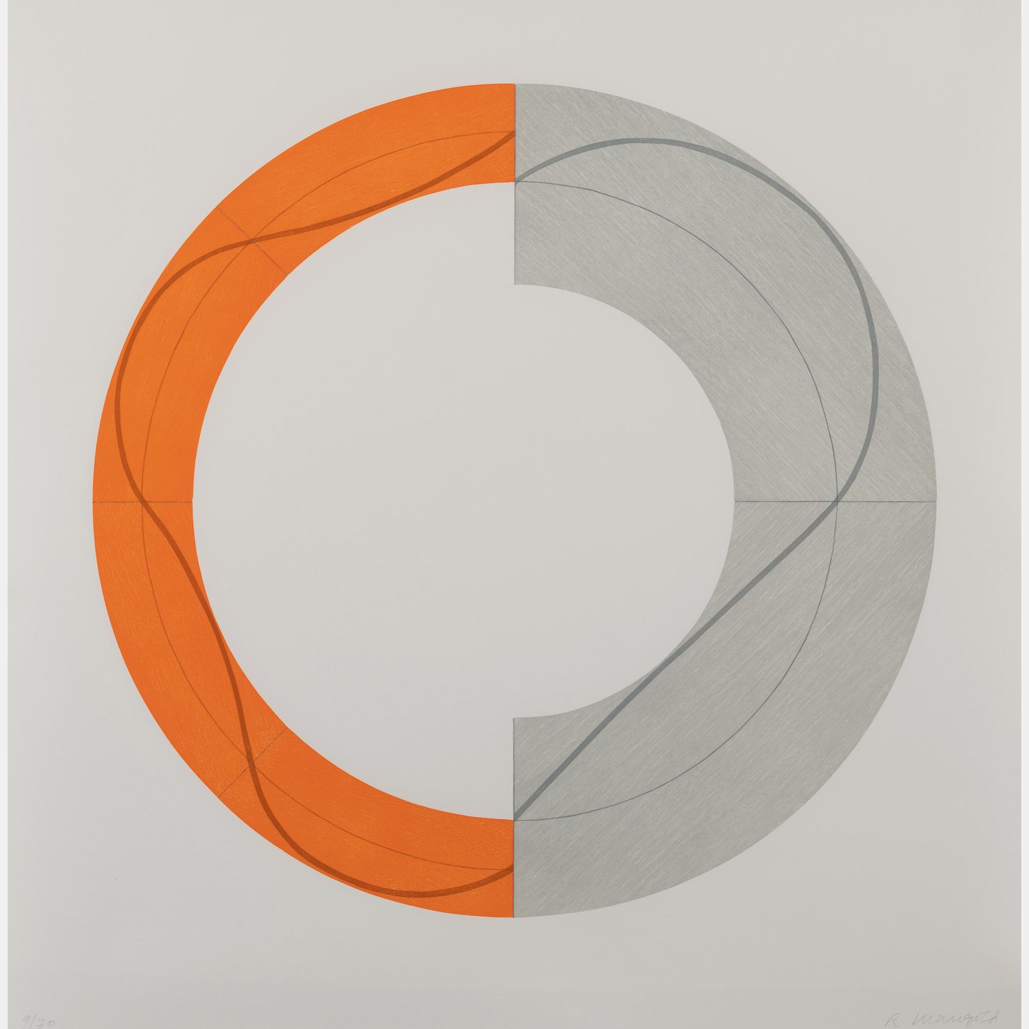 Split Ring Image B