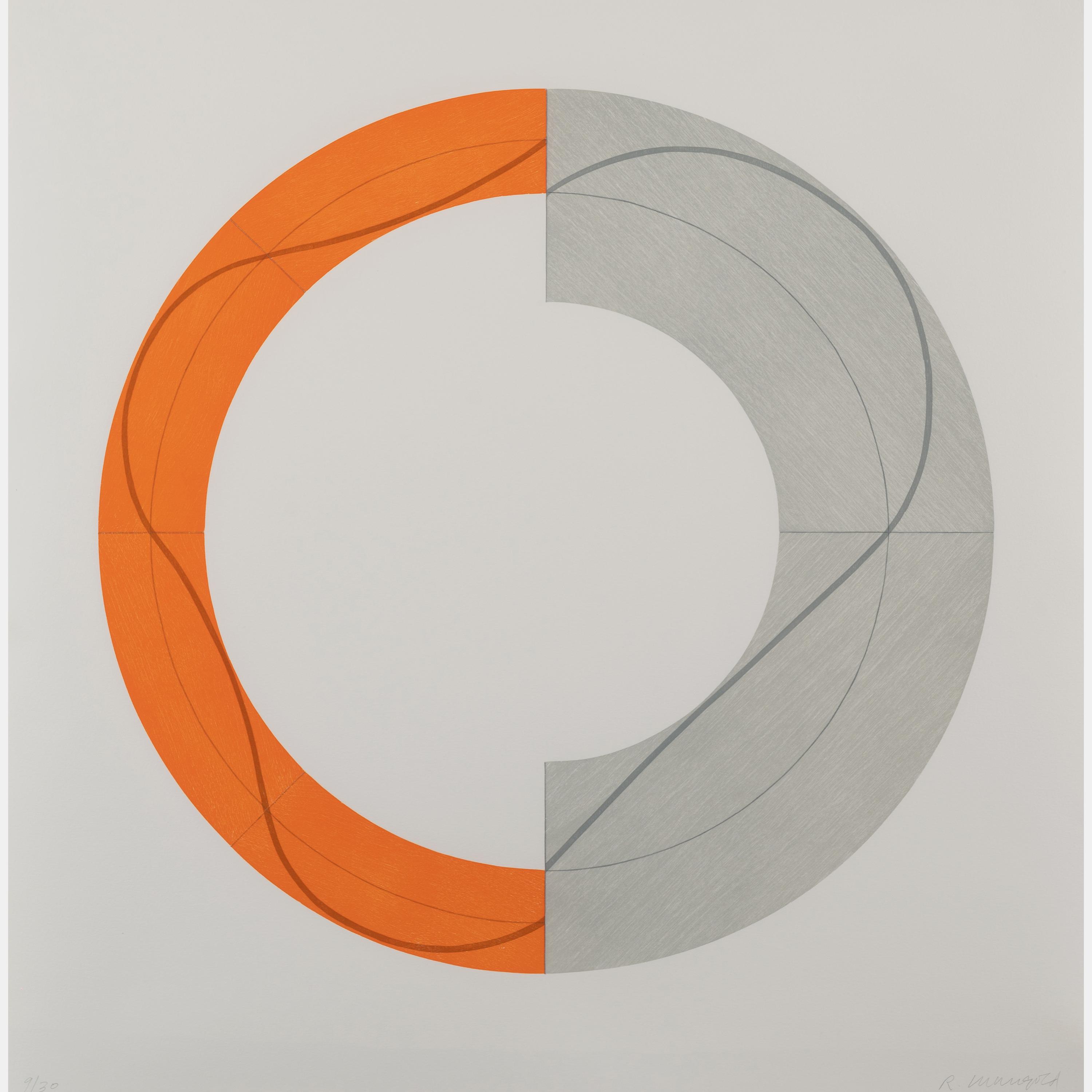Split Ring Image B
