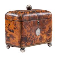 A Regency Tortoise Shell Tea Caddy