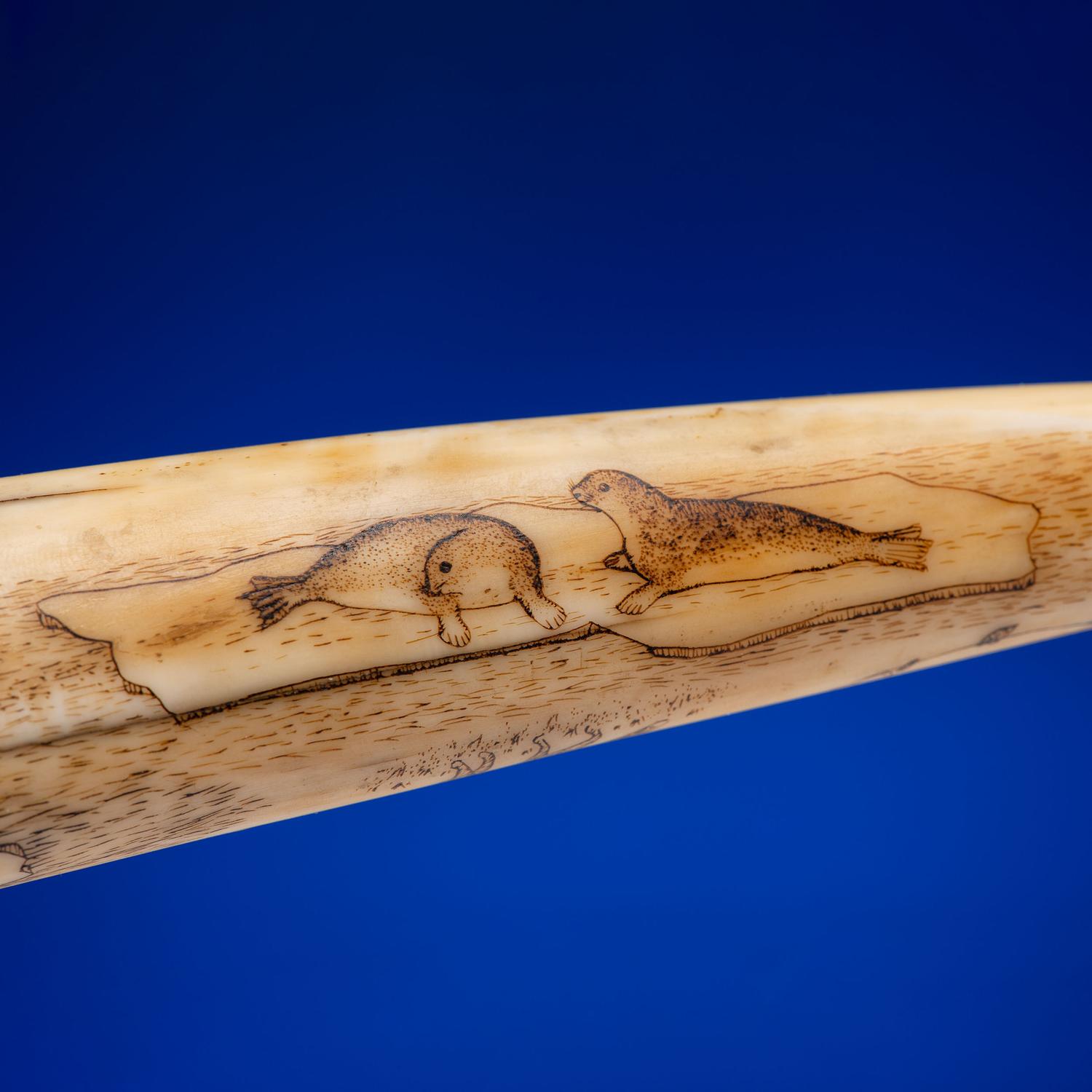 John Octuck (Inuit, 1873-1918) Scrimshawed Cribbage Board