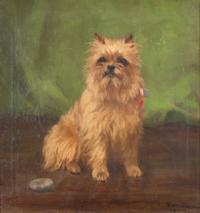 Brussels Griffon, 1905