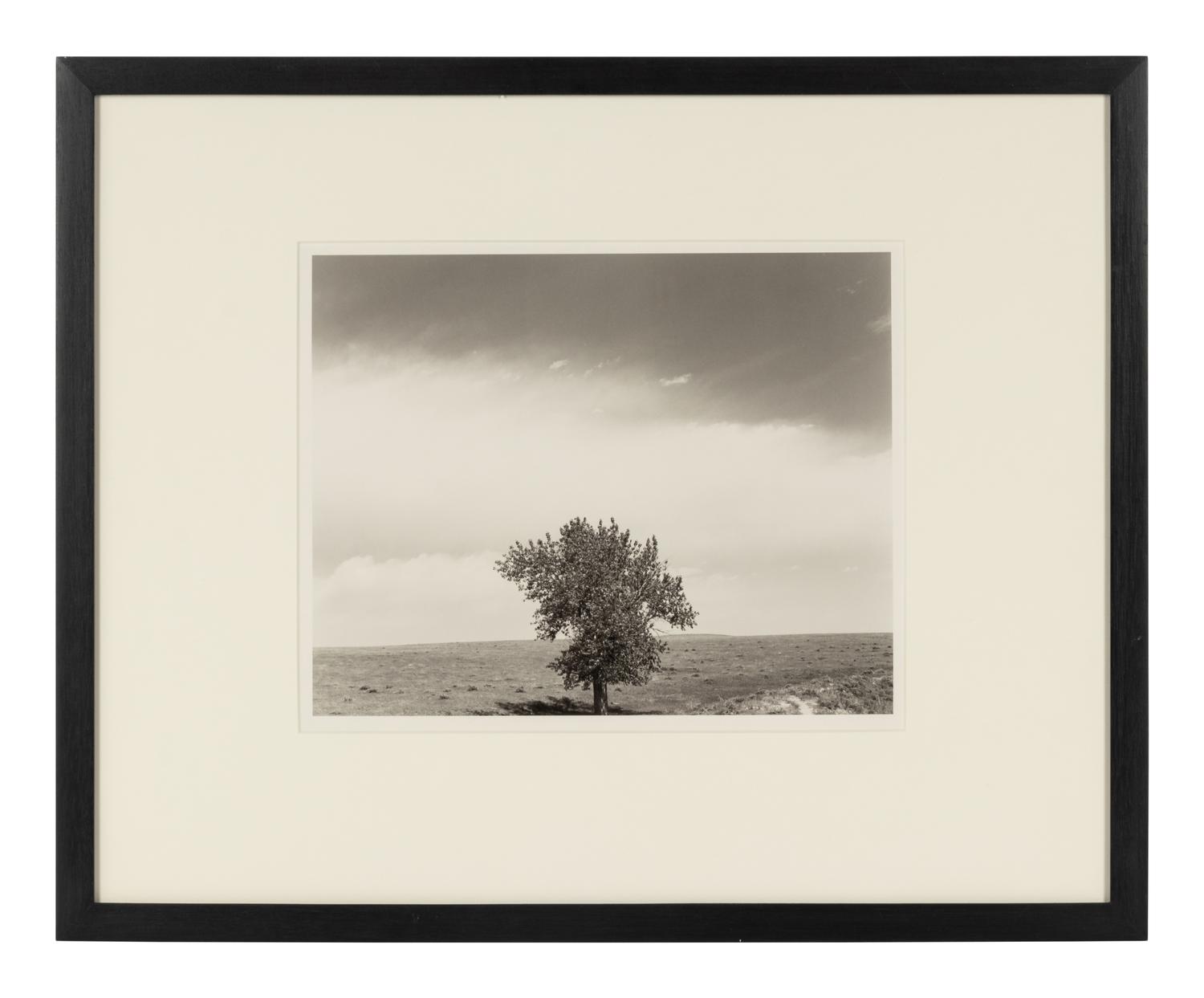 Robert Adams (born 1937) Pawnee National Grassland, Colorado, 1984