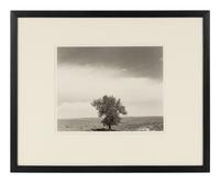 Robert Adams (born 1937) Pawnee National Grassland, Colorado, 1984