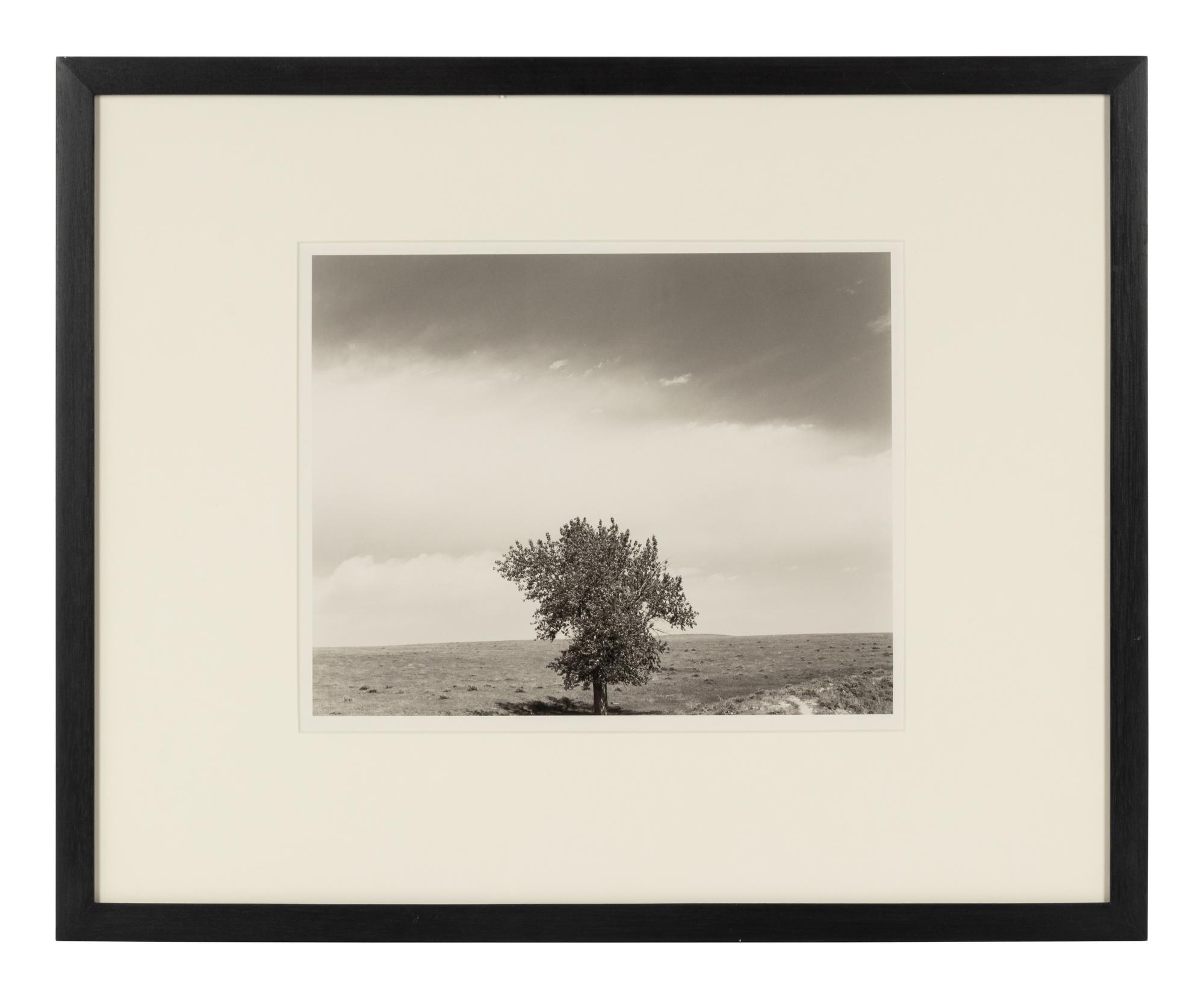 Robert Adams (born 1937) Pawnee National Grassland, Colorado, 1984