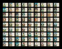 A Near Set of 1962 Post Cereal Football Cards (172/200)