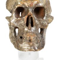 Two Italian Silvered Wood Memento Mori Skulls — 17TH CENTURY