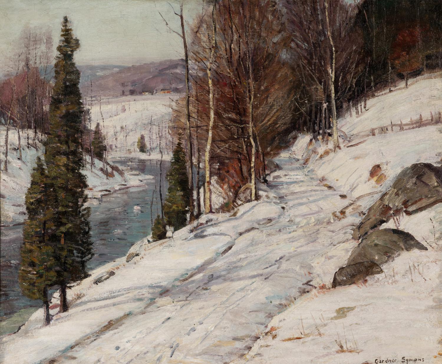 Forest Snow