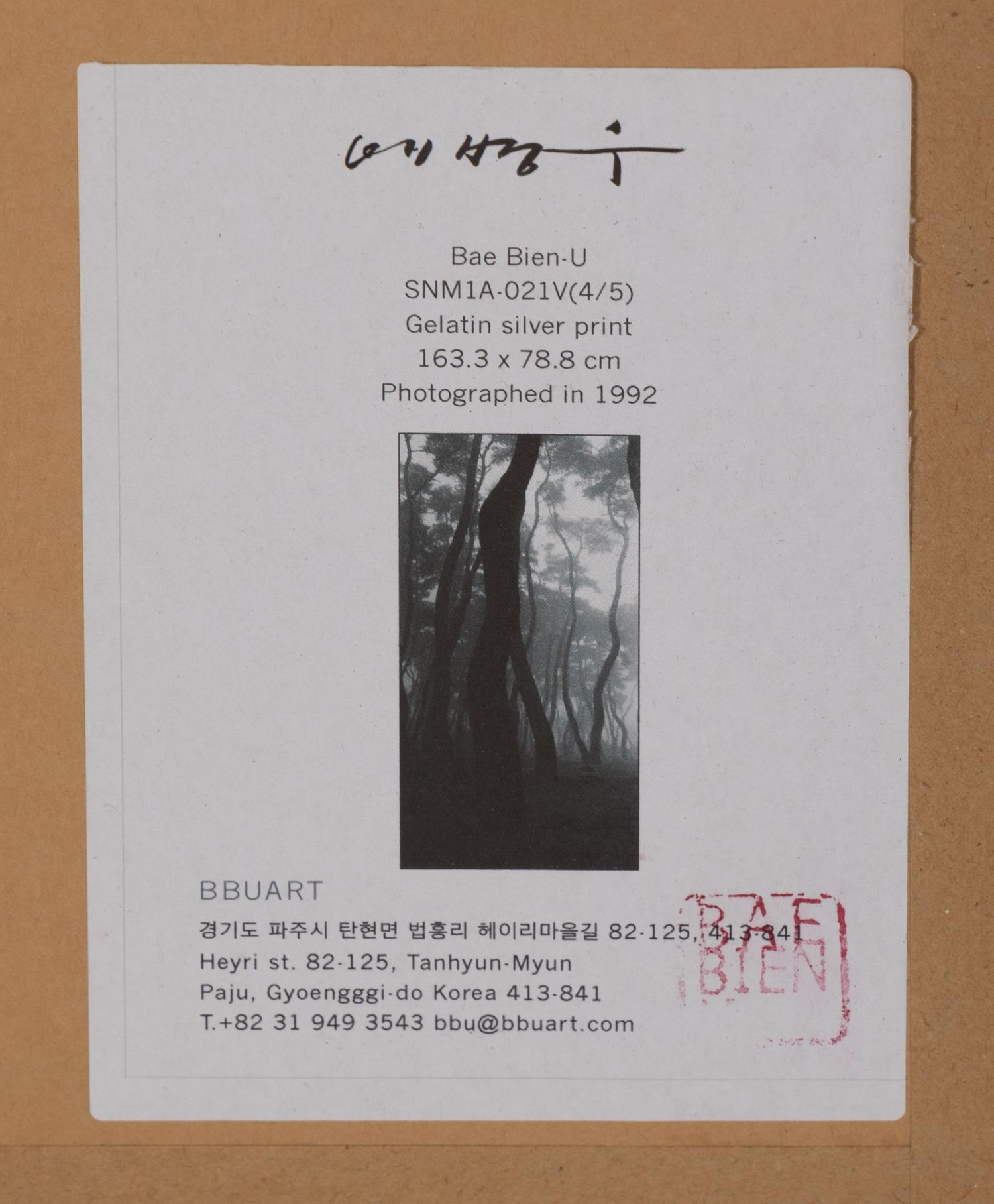 BaeBien-U (born 1950) SNM1A-021V, 1992