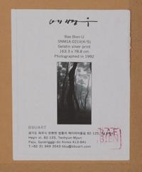 BaeBien-U (born 1950) SNM1A-021V, 1992