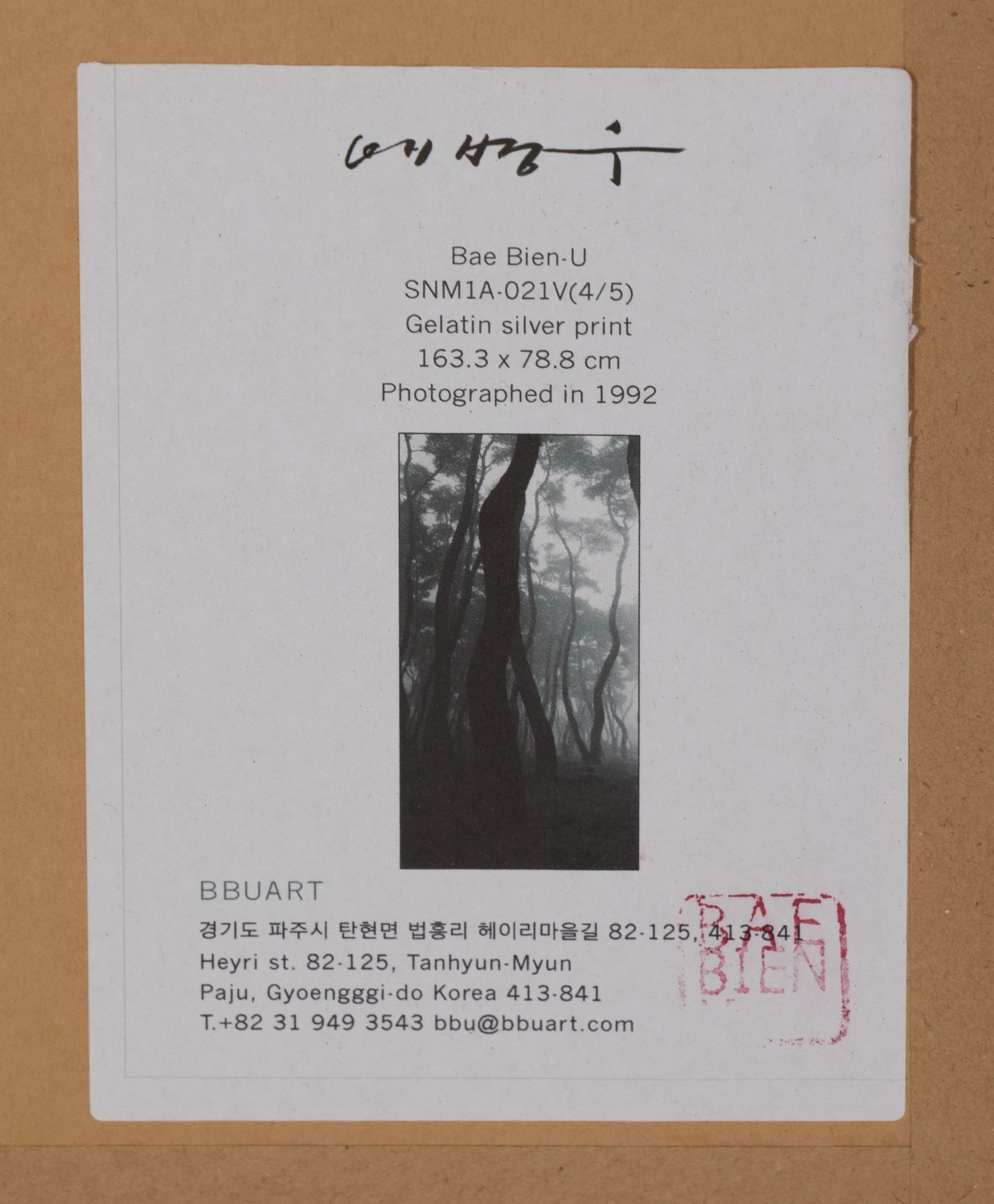 BaeBien-U (born 1950) SNM1A-021V, 1992