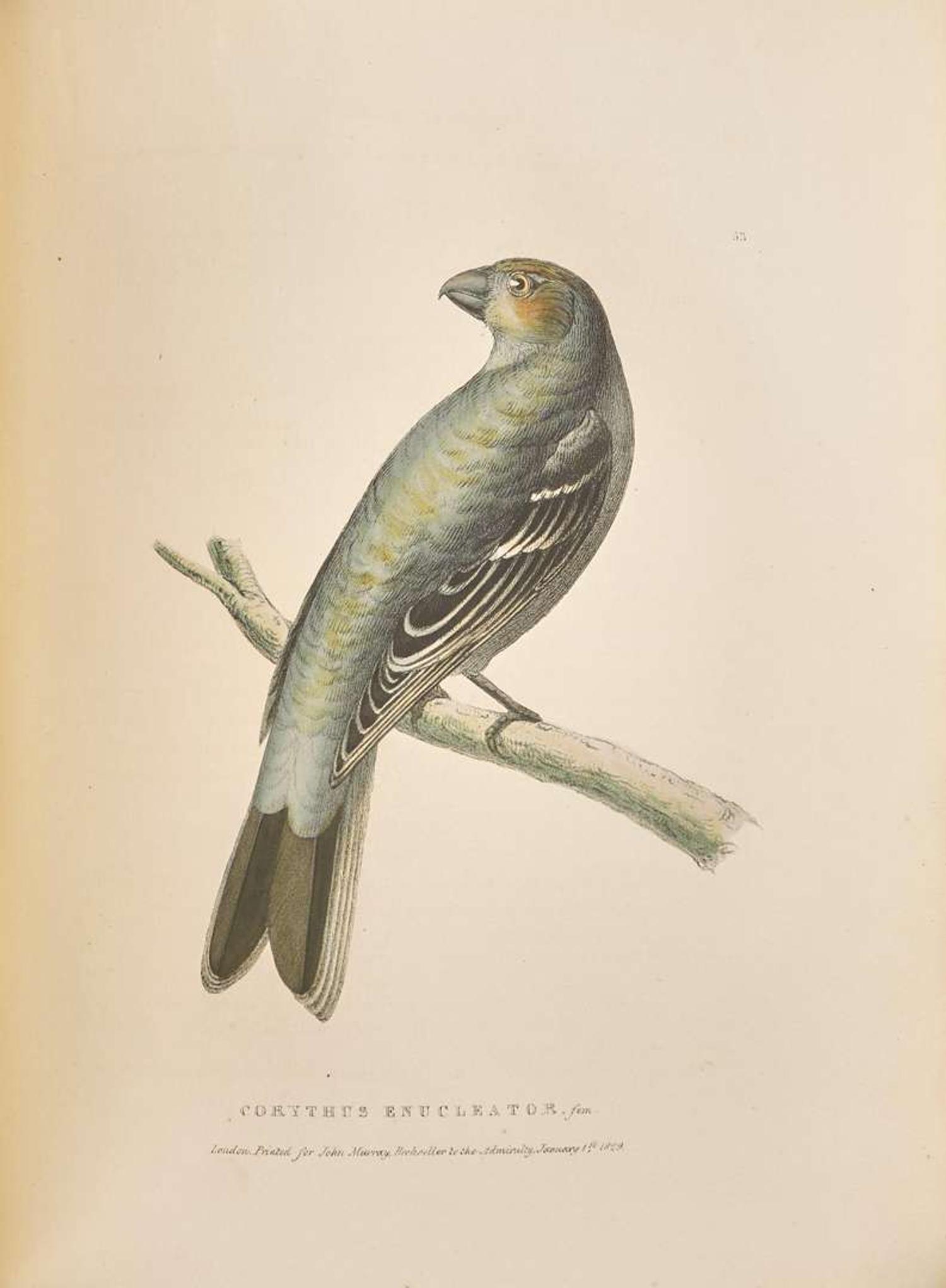 [Natural History] Richardson, John, and William Swainson, and William Kirby. Fauna Boreali-Americana; or the Zoology of the Northern Parts of British America...