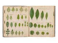 [SPECIMEN ALBUM - ARTIFICIAL LEAVES AND FLOWERS]. Collection of artificial leaves and flowers. [France, ca 1880?].
