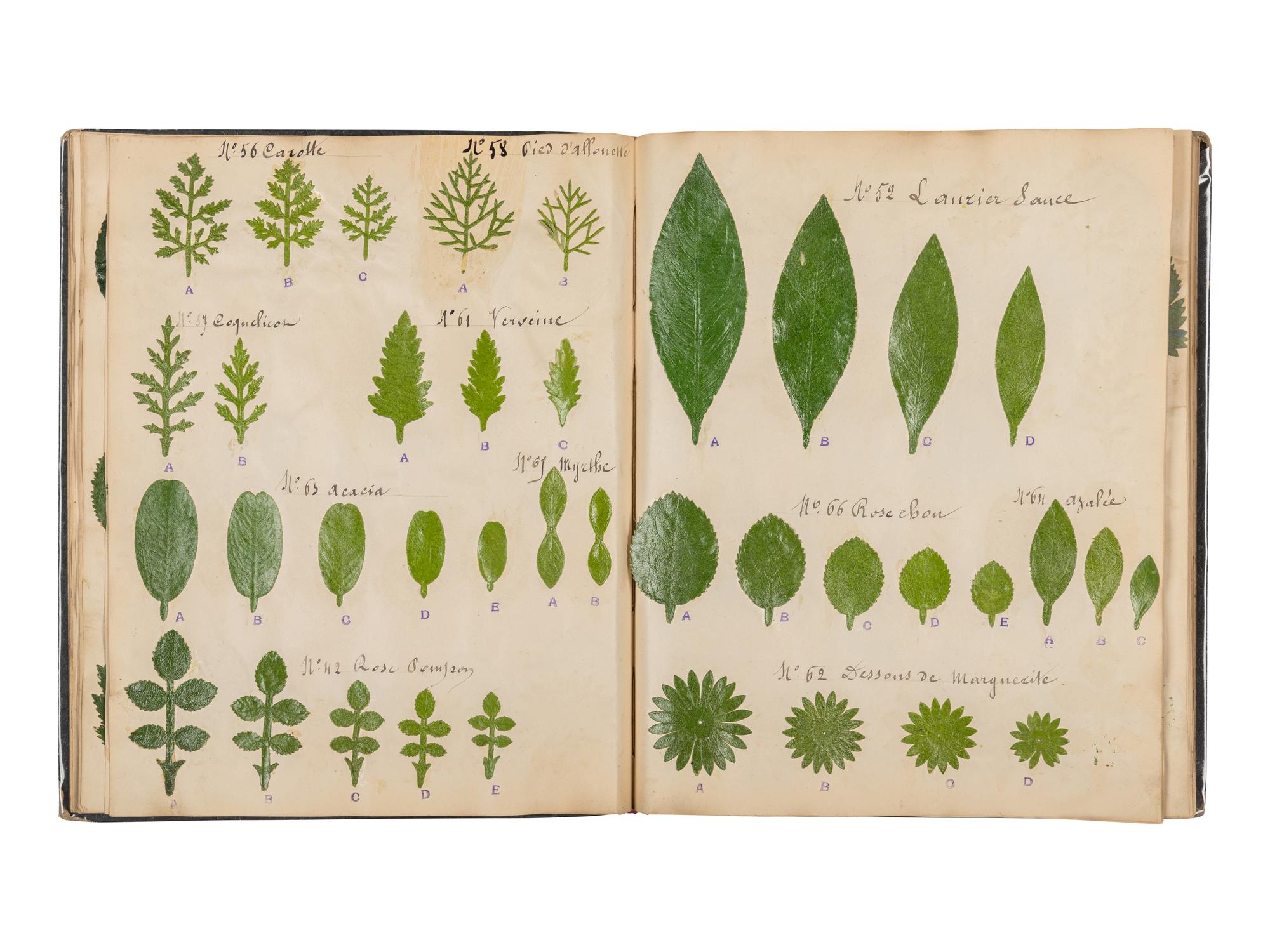 [SPECIMEN ALBUM - ARTIFICIAL LEAVES AND FLOWERS]. Collection of artificial leaves and flowers. [France, ca 1880?].