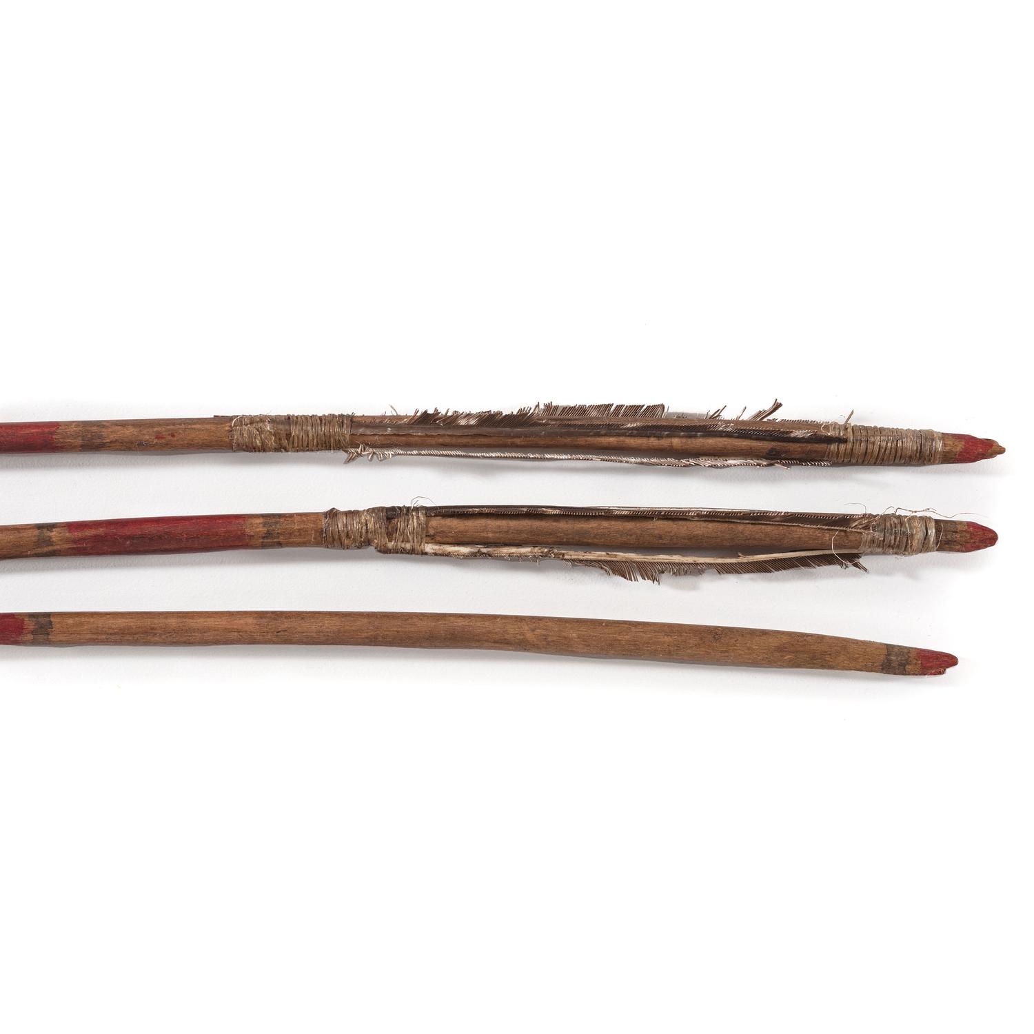 Plains Painted Arrows