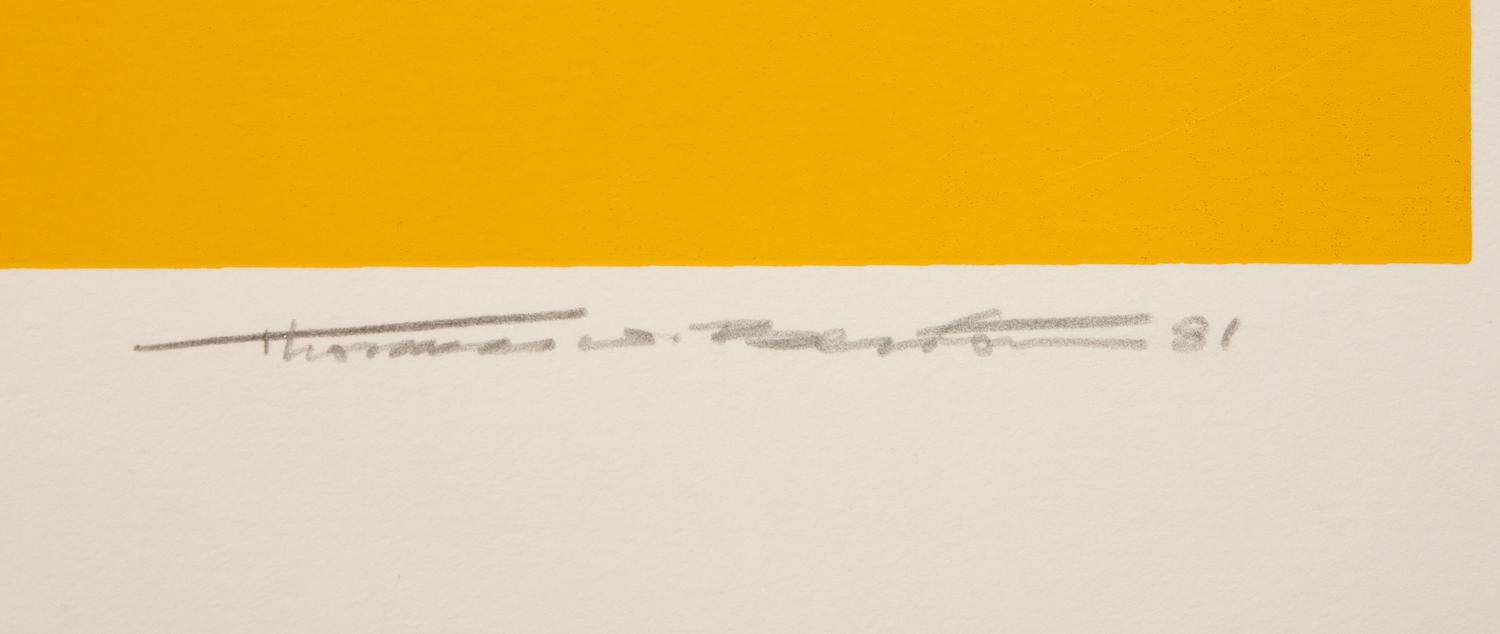A pair of prints ( Evolution Series, Red; Yellow Dunes )