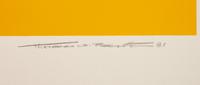 A pair of prints ( Evolution Series, Red; Yellow Dunes )